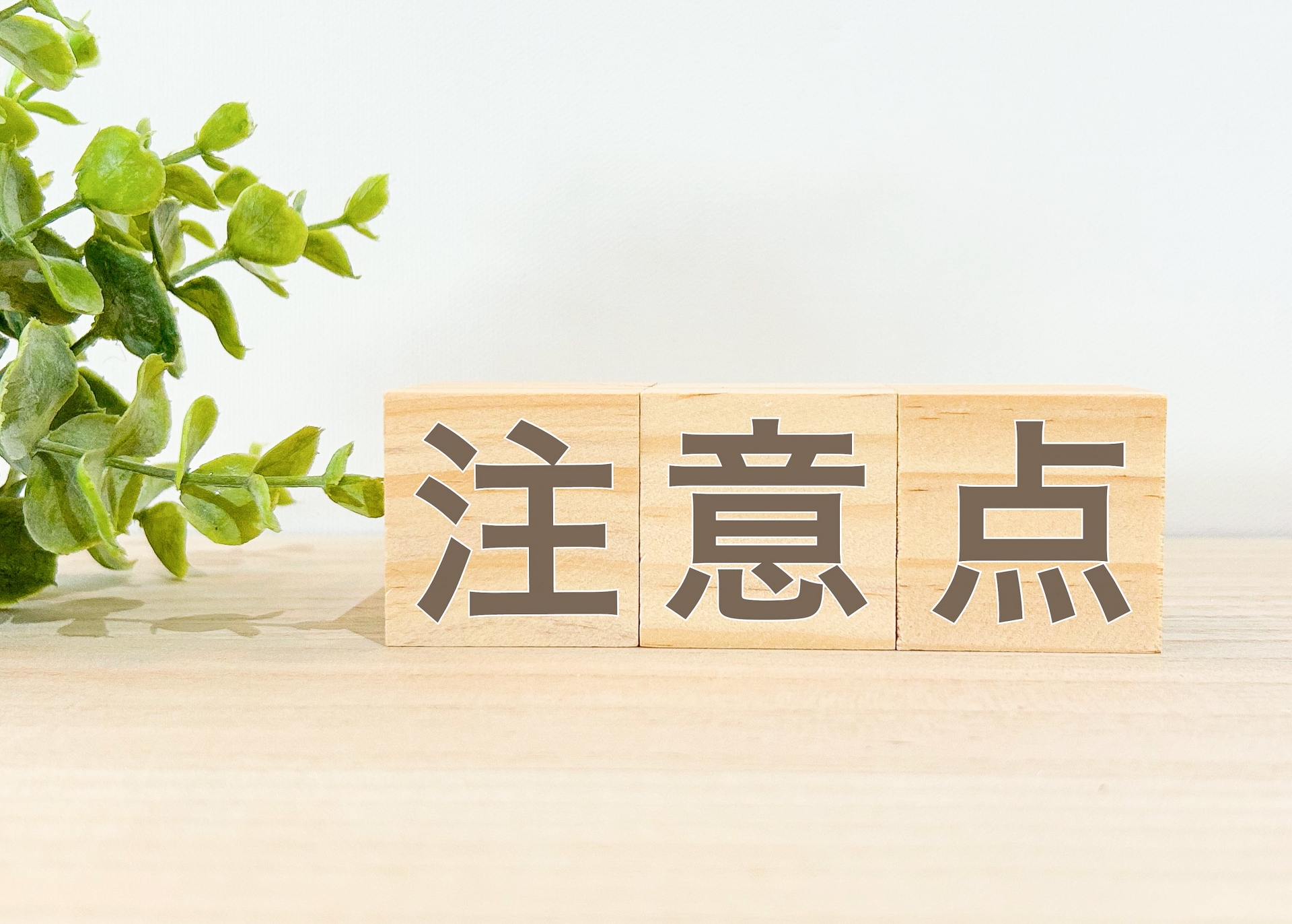 植木鉢を捨てるときの注意点
