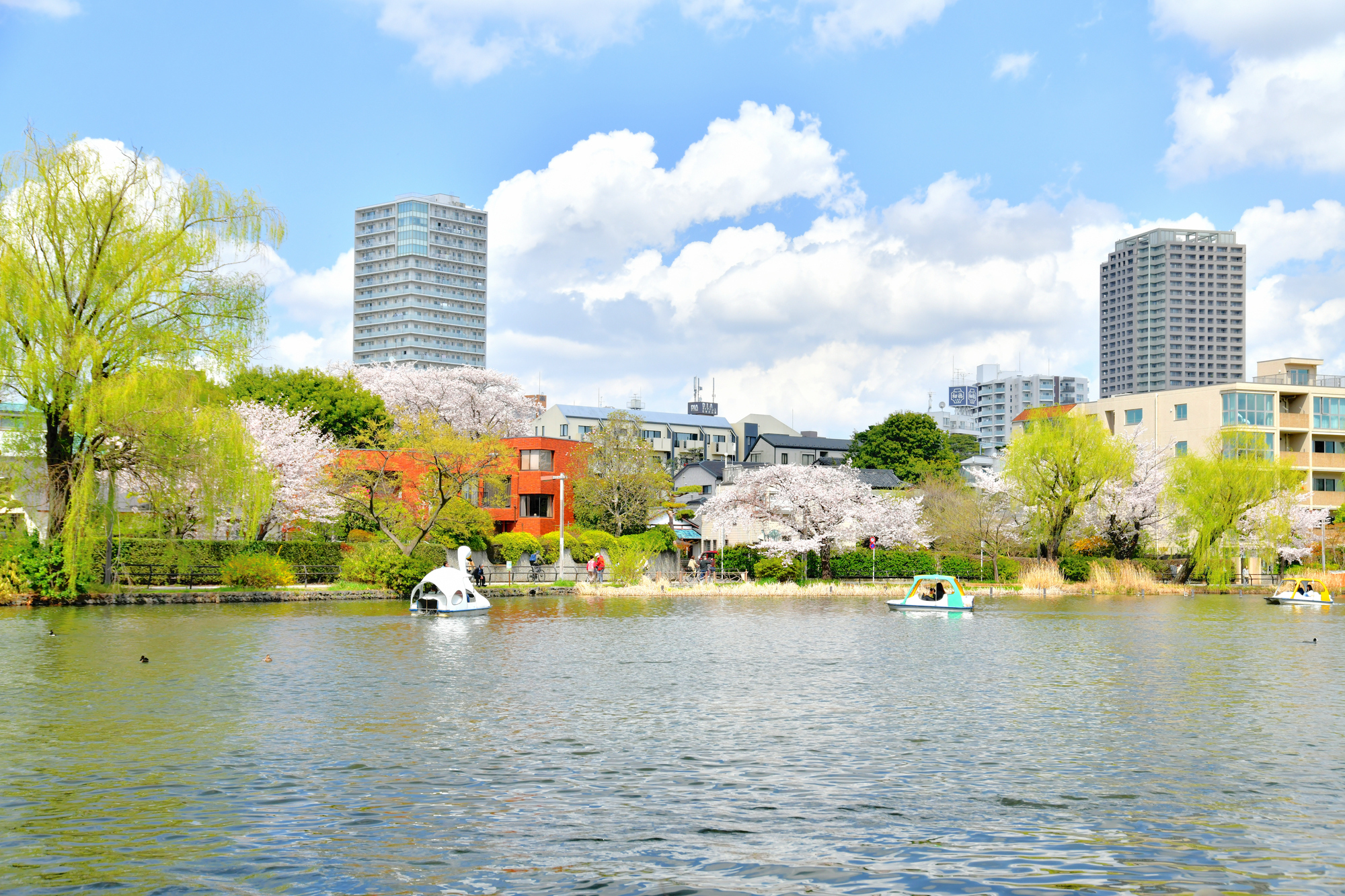 練馬区で粗大ゴミ回収を依頼できるおすすめ業者6選！分別や運搬もお任せ