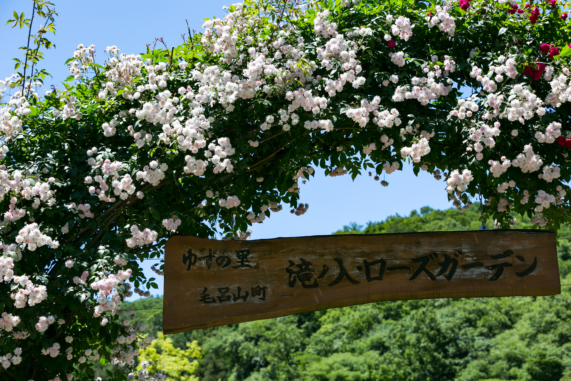 入間郡毛呂山町の粗大ゴミの出し方は？リサイクルプラザへの持ち込み方法も