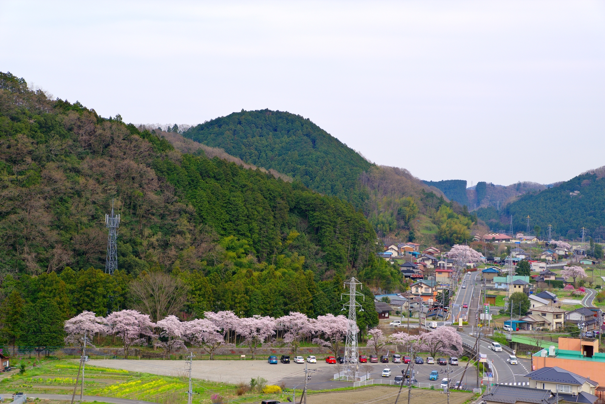 【秩父郡東秩父村】粗大ゴミの出し方を解説！自己搬入の手順や注意点も