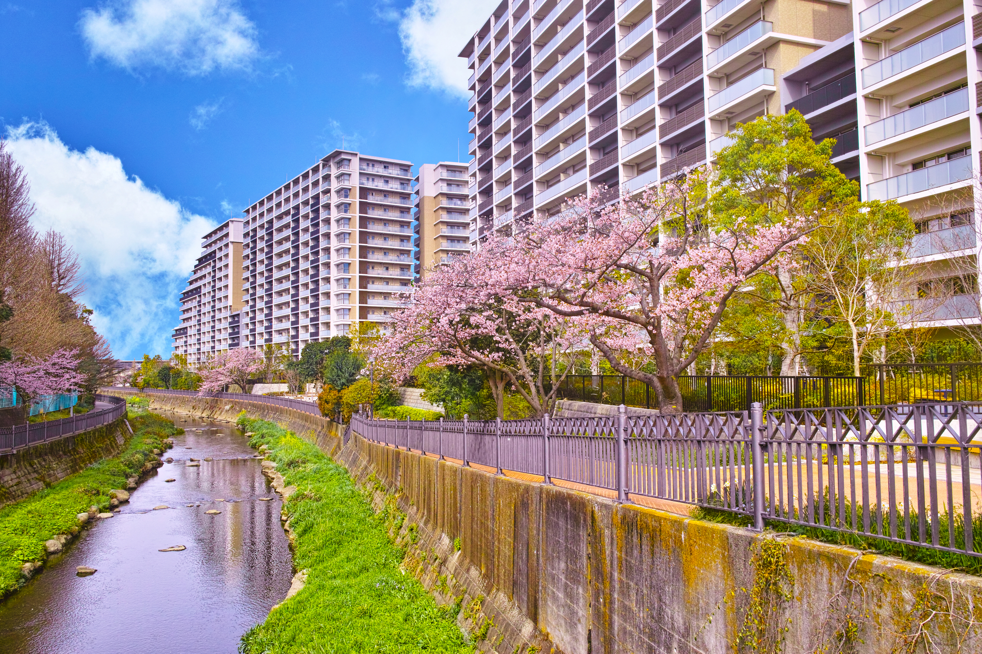 横浜市栄区の粗大ゴミの出し方！自治体での回収・持ち込みの申し込み手順も